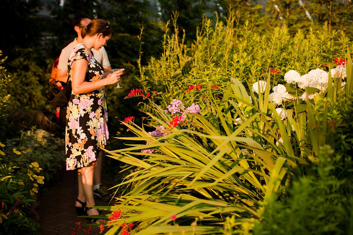 Twilight in the Garden