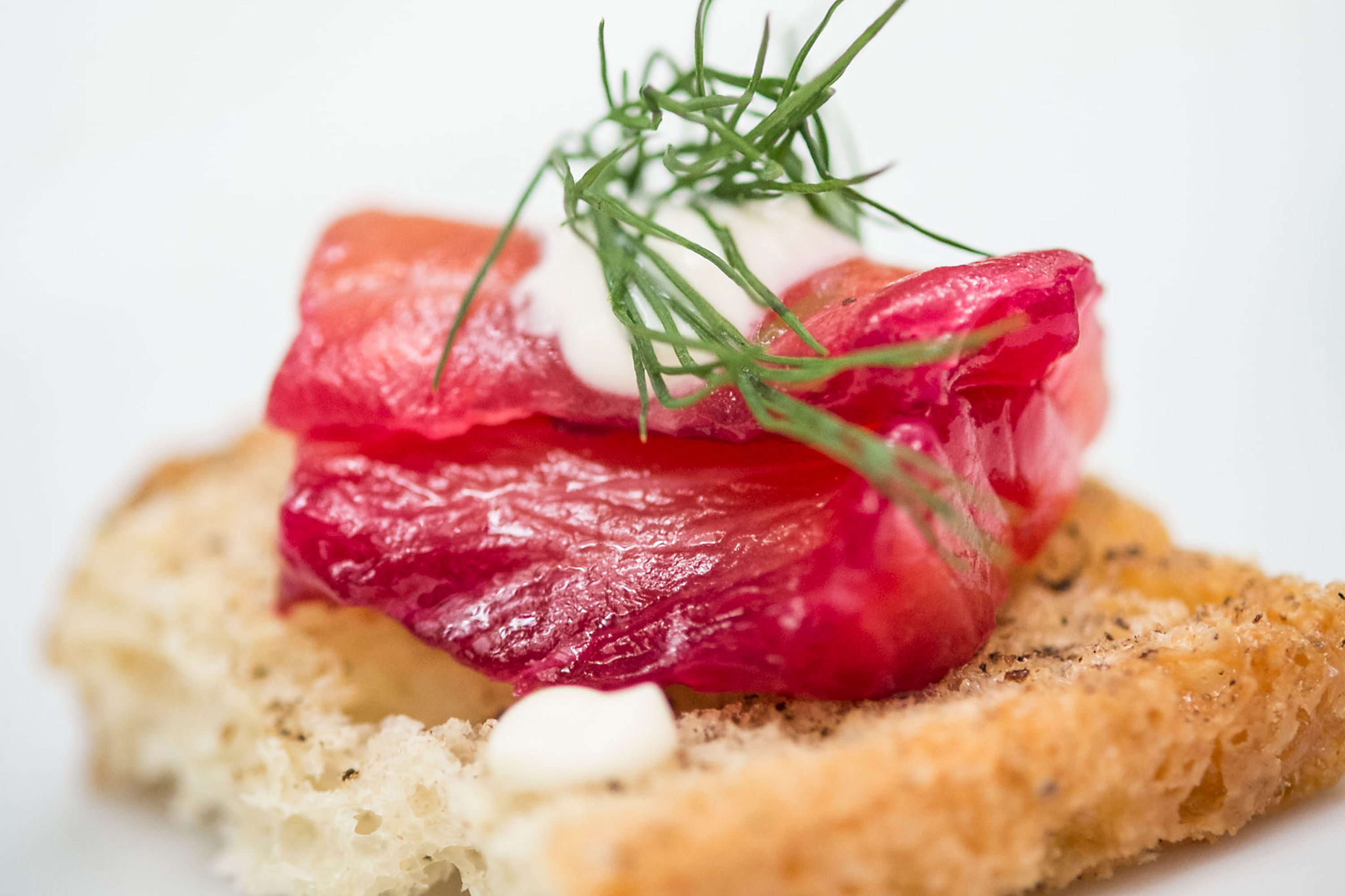 starrevents_stevelegato_beet-cured-smoked-salmon