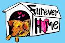 Furever-Home-Off-Broadway-Manhattan-NYC-Photo-Victory-Theatrical.jpg