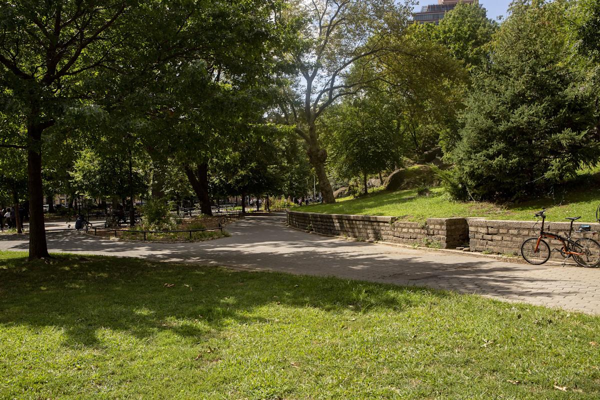 Trees at Marcus Garvey Park, Harlem, NYC