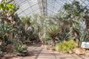 Conservatory at the New York Botanical Garden