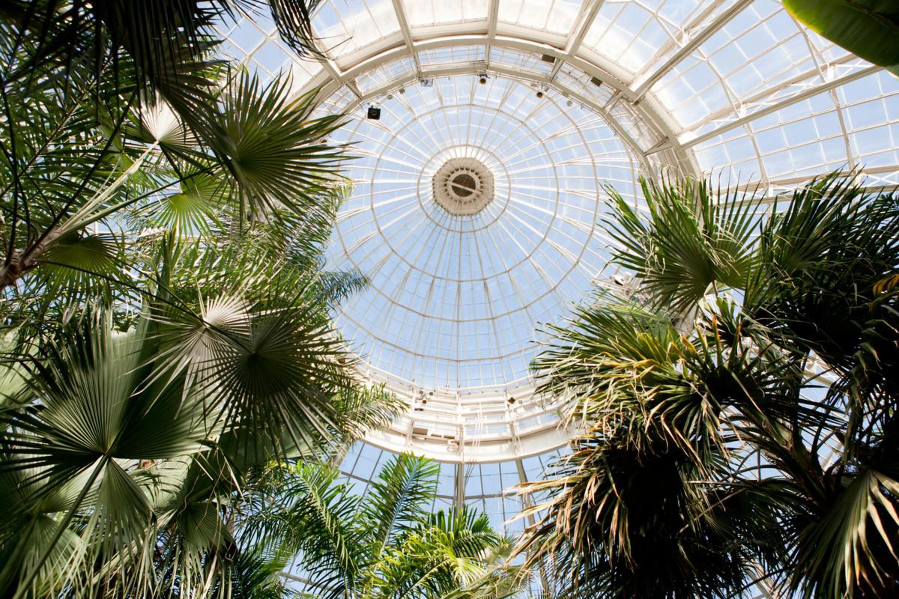 New York Botanical Garden, Bronx