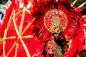 west-indian-american-day-carnival-joe-buglewicz-024