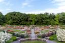 Wonderland-Curious-Nature-Rose-Garden-NYBG-bronx-nyc-courtesy-0009.jpg