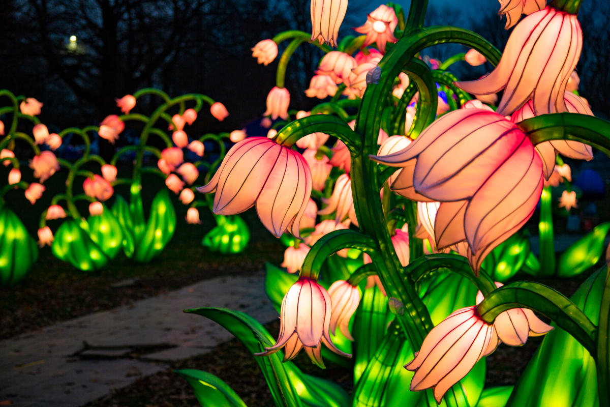 winter-lantern-festival-snug-harbor-staten-island-nyc-476a8840