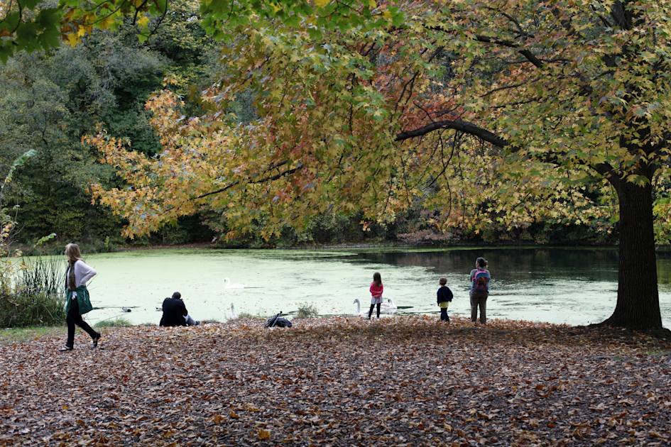 Visit Prospect Park NYC Tourism