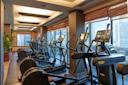 A modern gym with large windows featuring several elliptical machines and treadmills lined up. 
