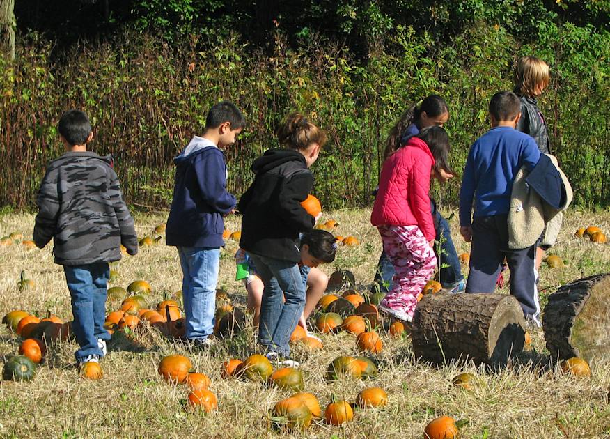 Decker Farm Museums & Galleries NYC Tourism