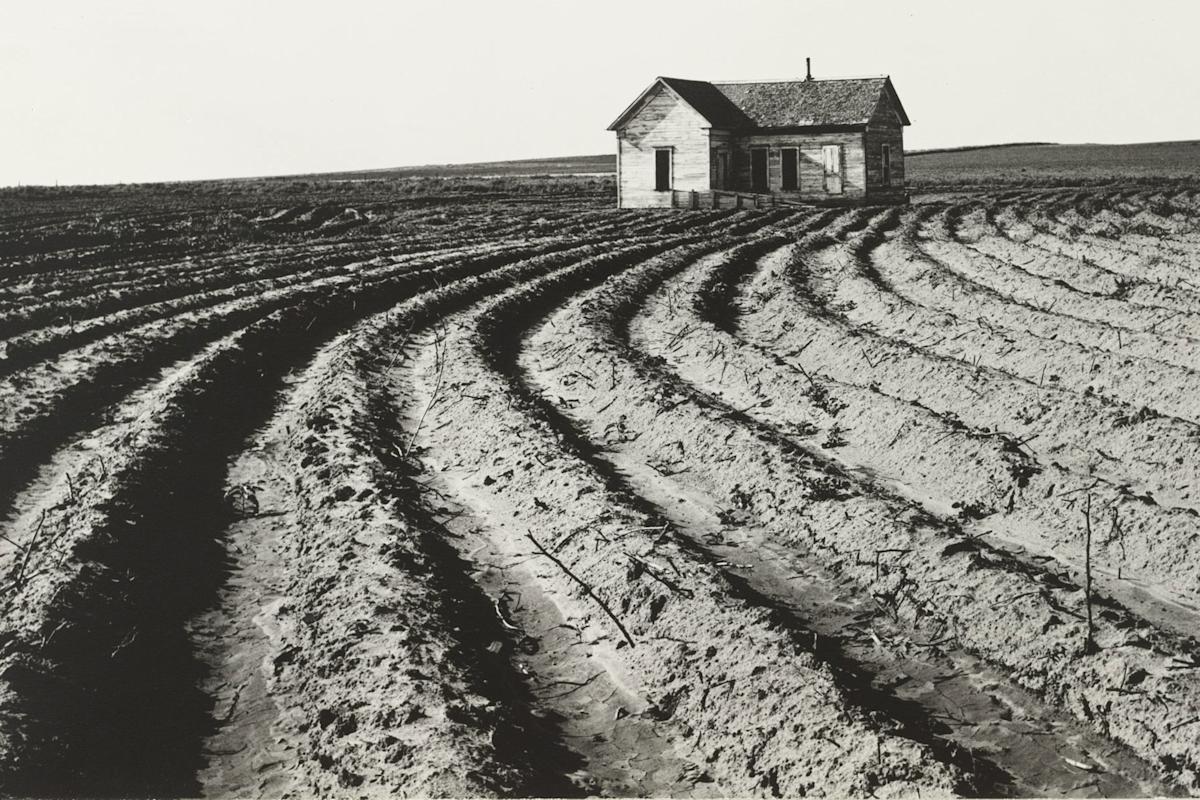 Dorothea Lange. Tractored Out. Childress County, Texas. 1938. Gelatin silver print. The Museum of Modern Art, New York. Purchase