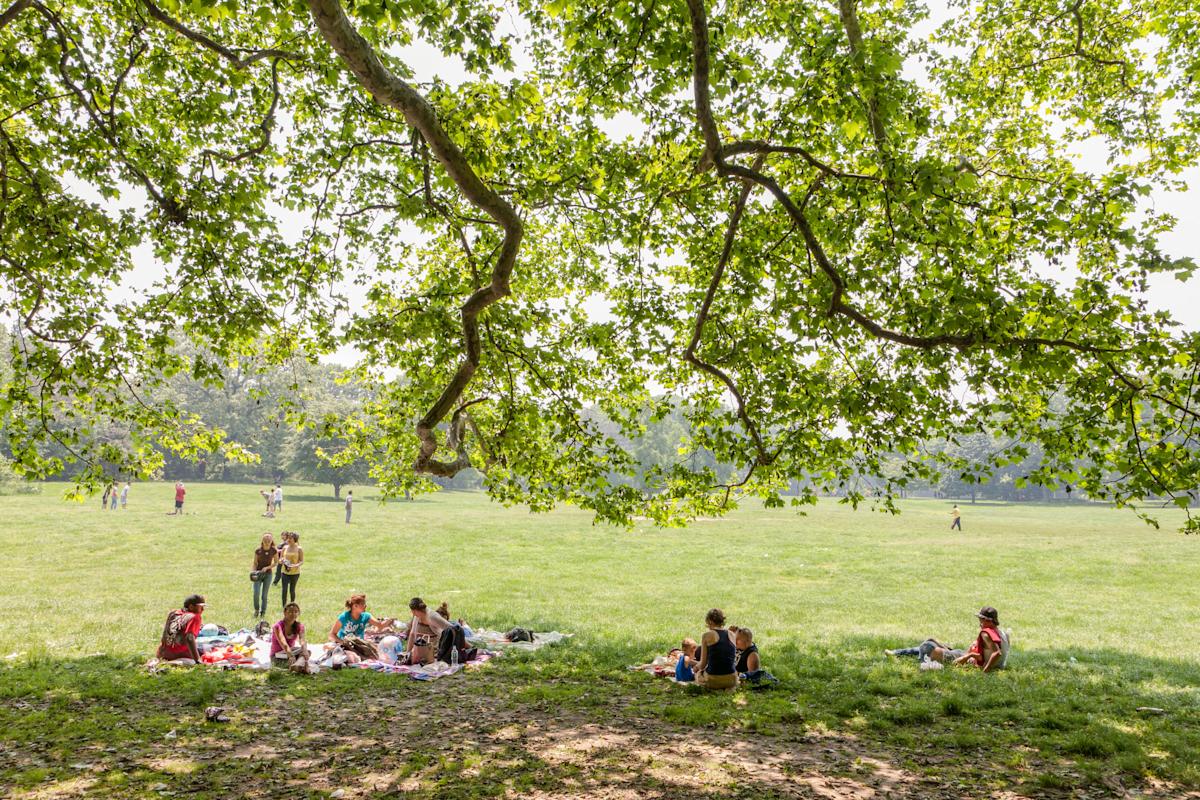 prospect-park-long-meadow-will-steacy-86