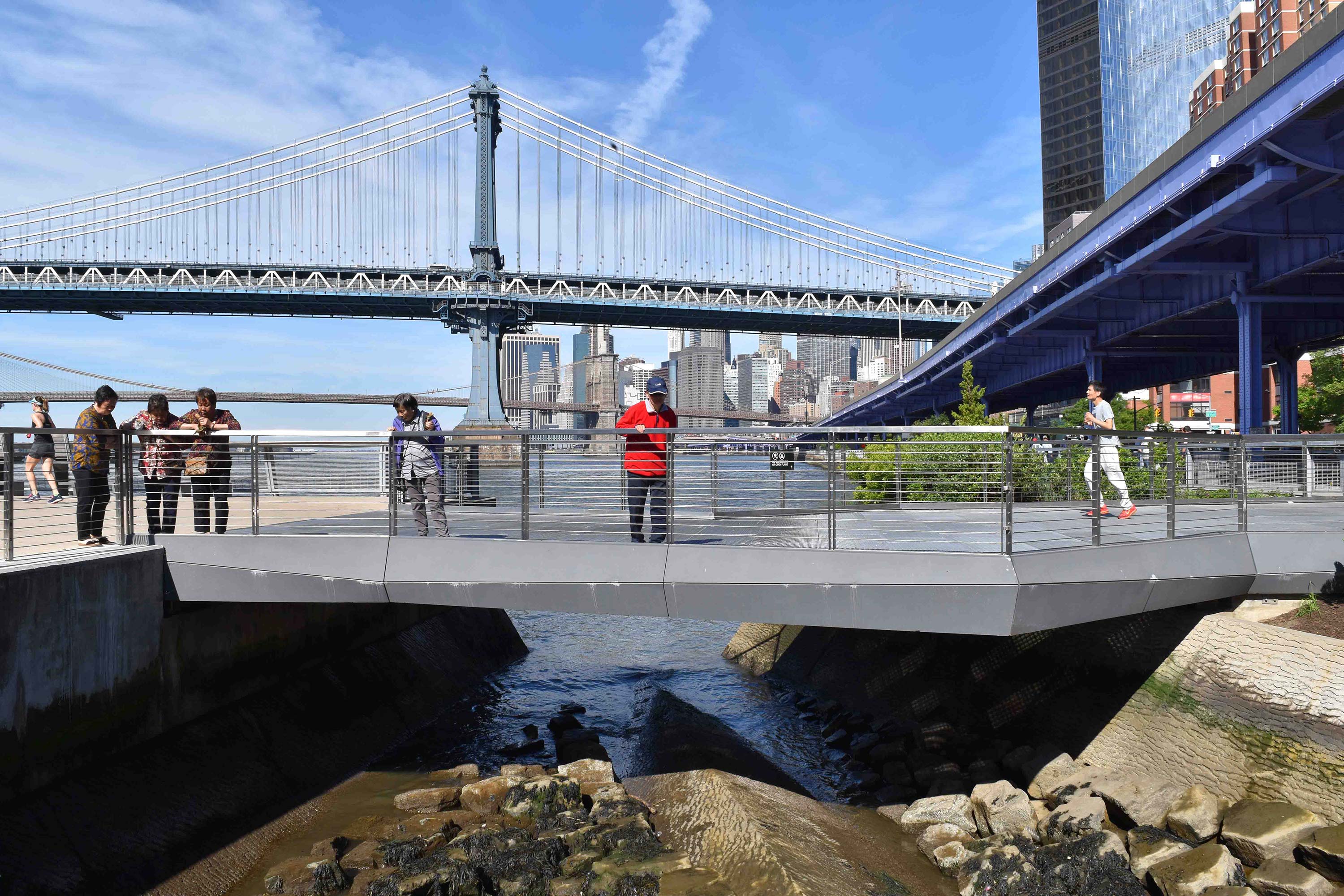 Pier 35, East River, NYC Visitor Guide – Public Space, Sustainability,  Views