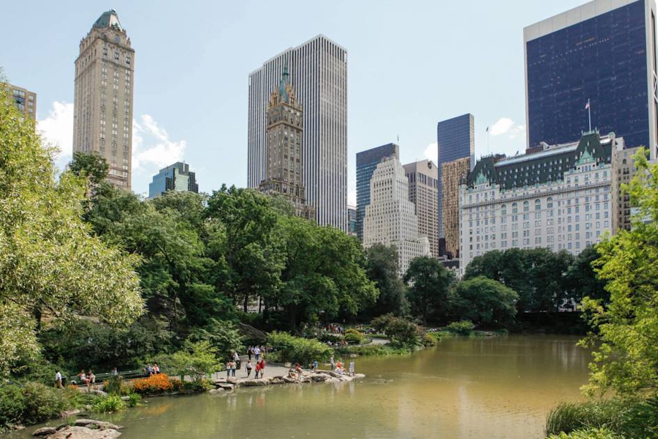 Best NYC Restaurants near Central Park: New York Dining Guide