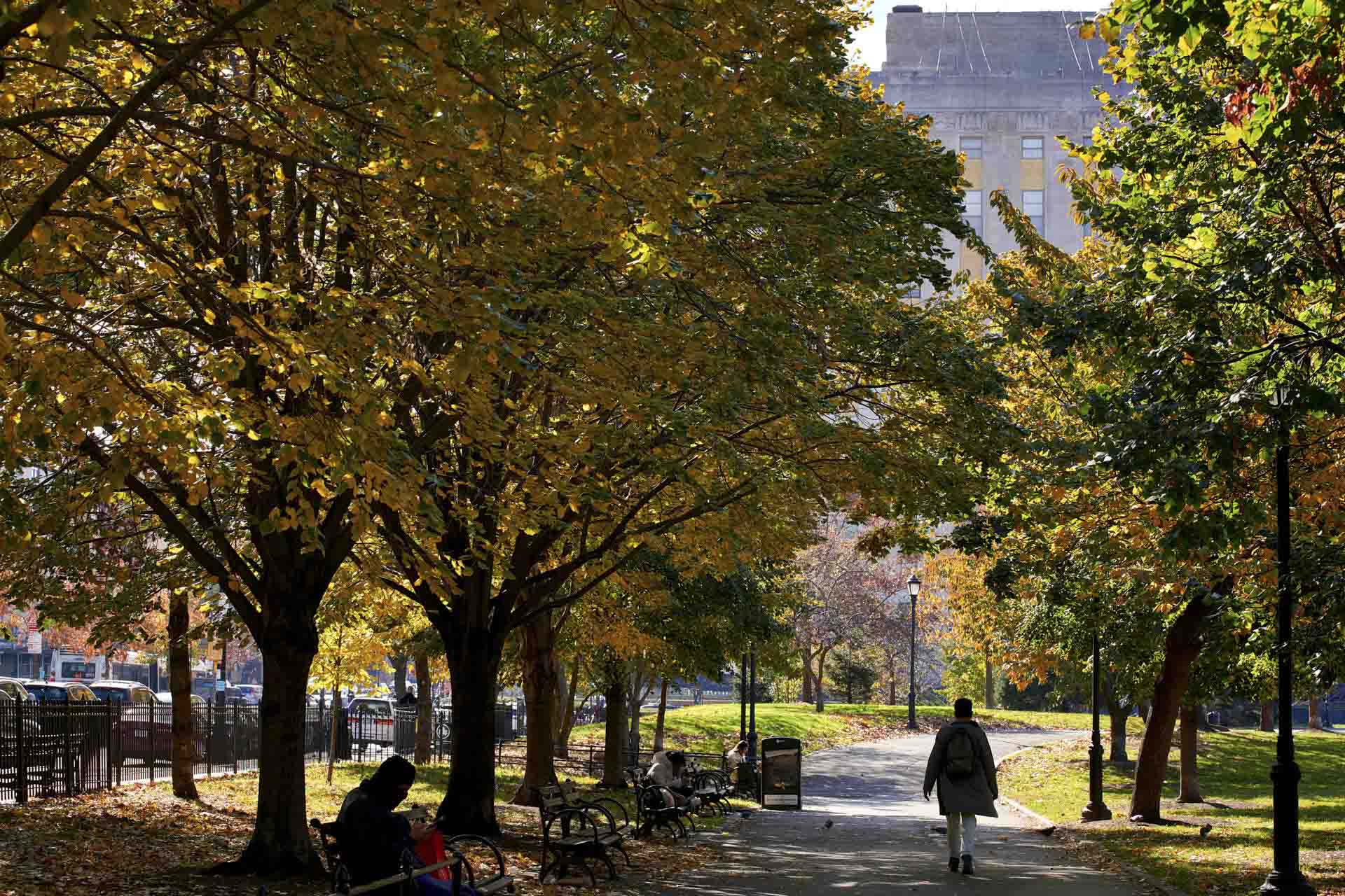 Franz-Sigel-Park_NYC_Photo_Gabby-Jones_04.jpg