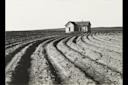 Dorothea Lange. Tractored Out. Childress County, Texas. 1938. Gelatin silver print. The Museum of Modern Art, New York. Purchase