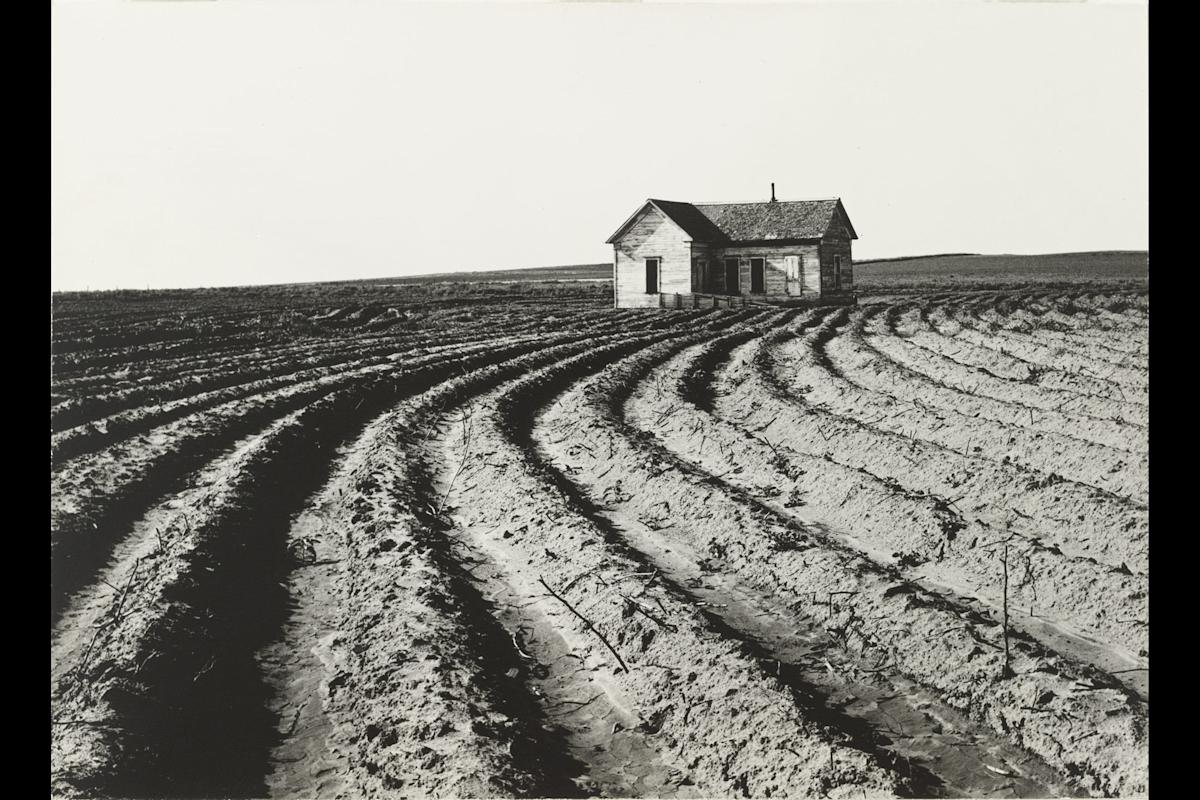 Dorothea Lange. Tractored Out. Childress County, Texas. 1938. Gelatin silver print. The Museum of Modern Art, New York. Purchase