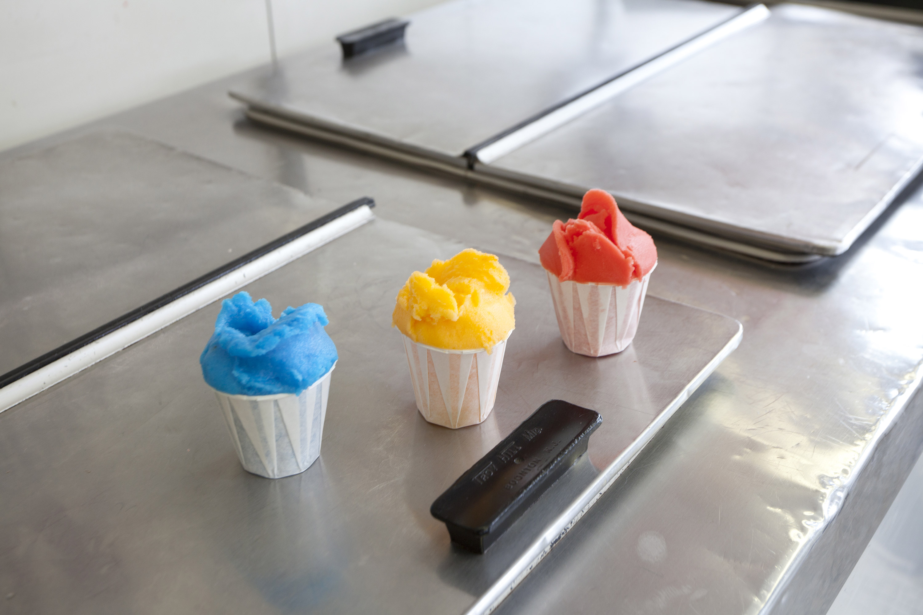 lemon-ice-king-corona-queens-nyc-will-steacy-31