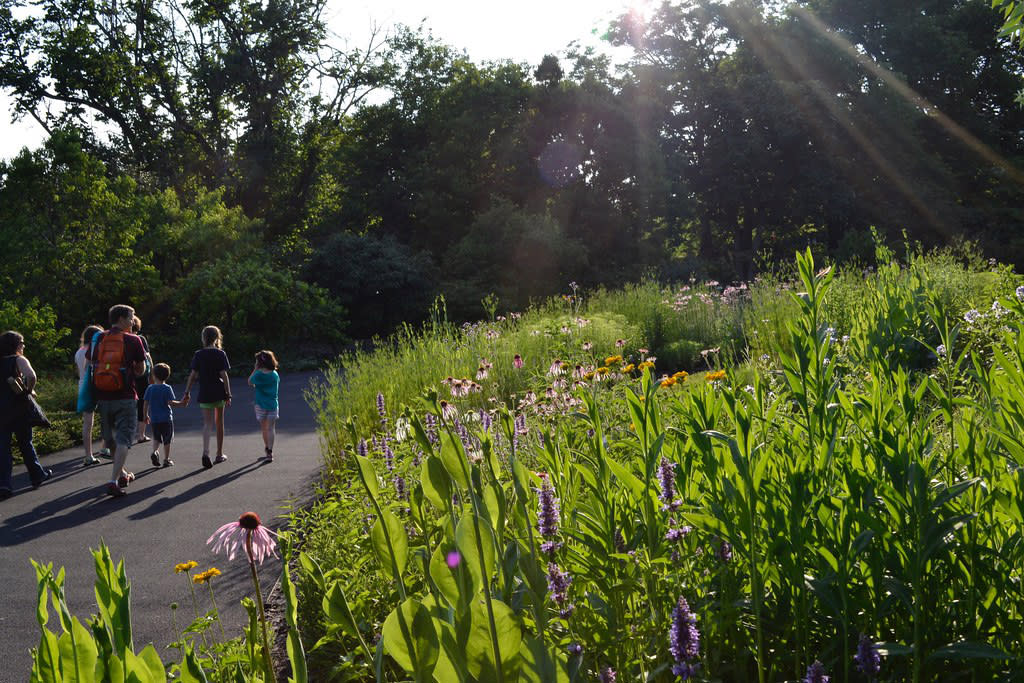 twilight-in-the-garden-brooklyn-botanic-garden-brooklyn-nyc-photo-blanca-begert