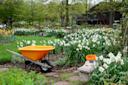 Queens Botanical Garden nyc