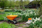 queensbotanicalgarden_flushing_queens_nyc_spring-annual-garden_credit-jess-brey_a241db8b-30b5-44da-b1c792b7ef31a355_21153c1f-933a-4423-b978ee36e151a3a3