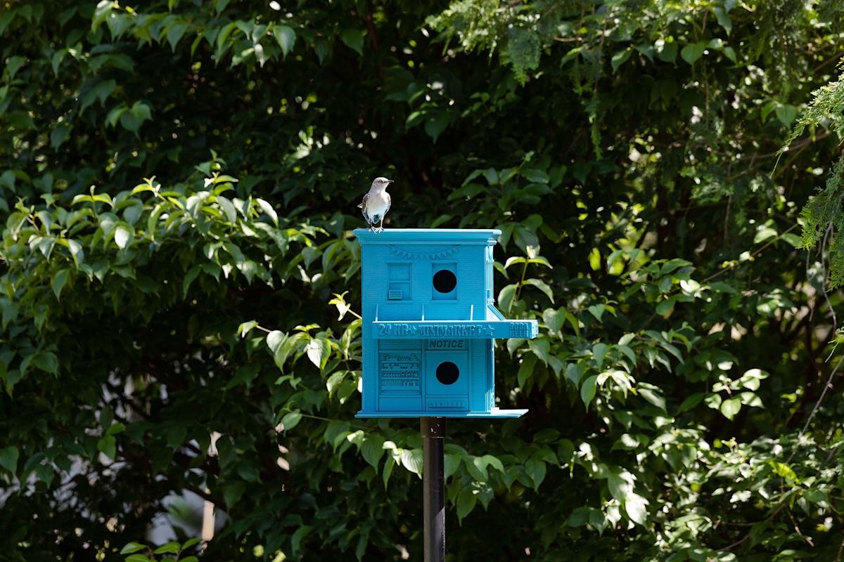 
Birdega. Olalekan Jeyifous. Wood, metal 16 in. &times; 16 in. &times; 16 in. Photo by Liz Ligon. Courtesy of Brooklyn Botanic Garden. 