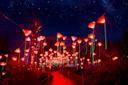 Lightscape-Brooklyn-Botanical-Garden-Brooklym-NYC-Photo-Courtesy-Brooklyn-Botanical-Garden.jpg
