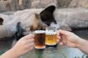 brew at the zoo, beer, 