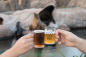brew-at-the-zoo-bronx-zoo-fordham-bronx-nyc-julie-larsen-maher_7957_brew-at-the-zoo-promotional_bz_03-09-17_hr