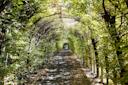 Snug Harbor Cultural Center and Botanical Garden