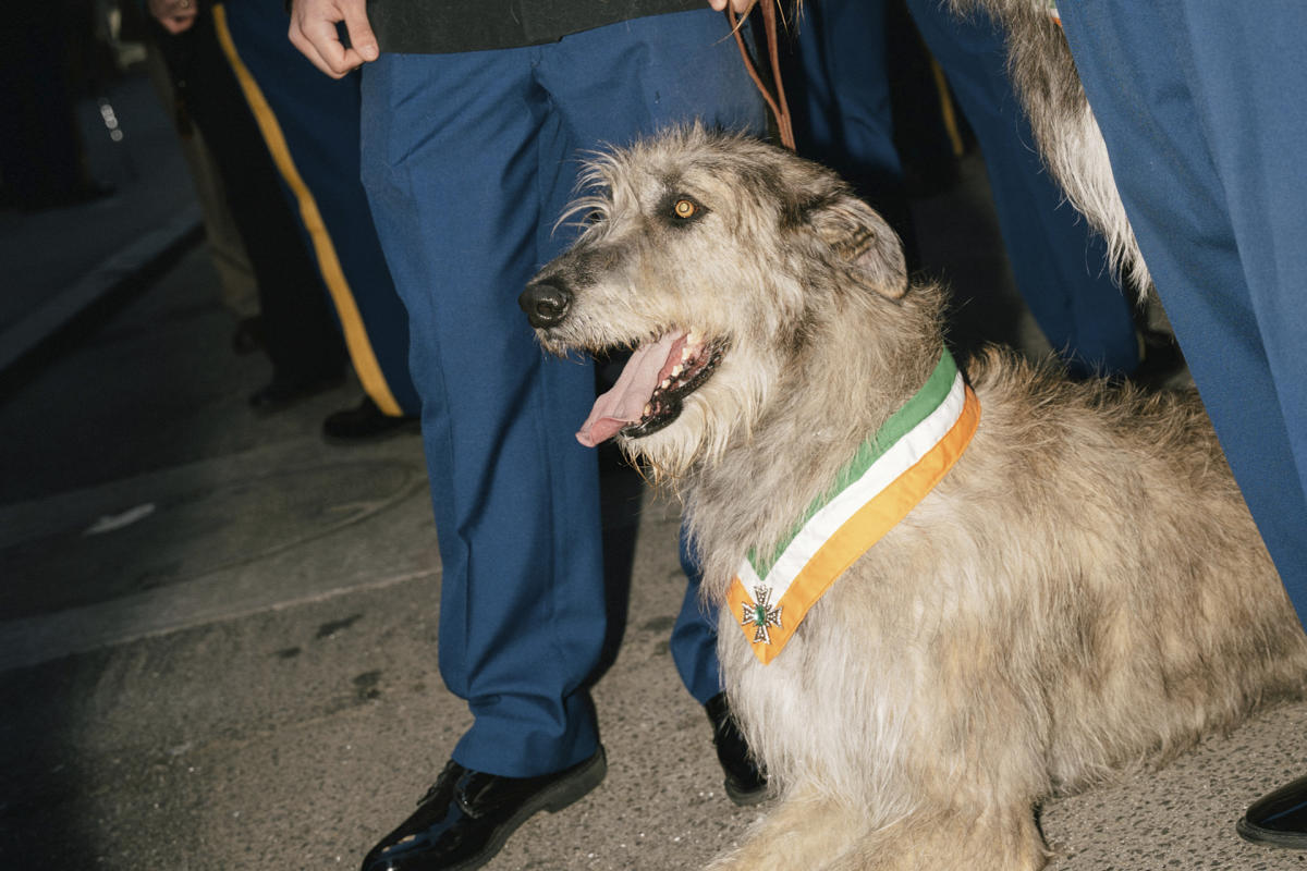 St-Patrick-Parade-Manhattan-NYC-Photo-Paola-Chapdelaine- 8 1.jpg