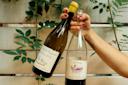 Two hands, each with red-painted nails, hold up wine bottles against a backdrop of green leaves on a wooden fence. The labels on the bottles read "Hauts Baigneux Blanc Réserve 2021" and "Le Rouze.