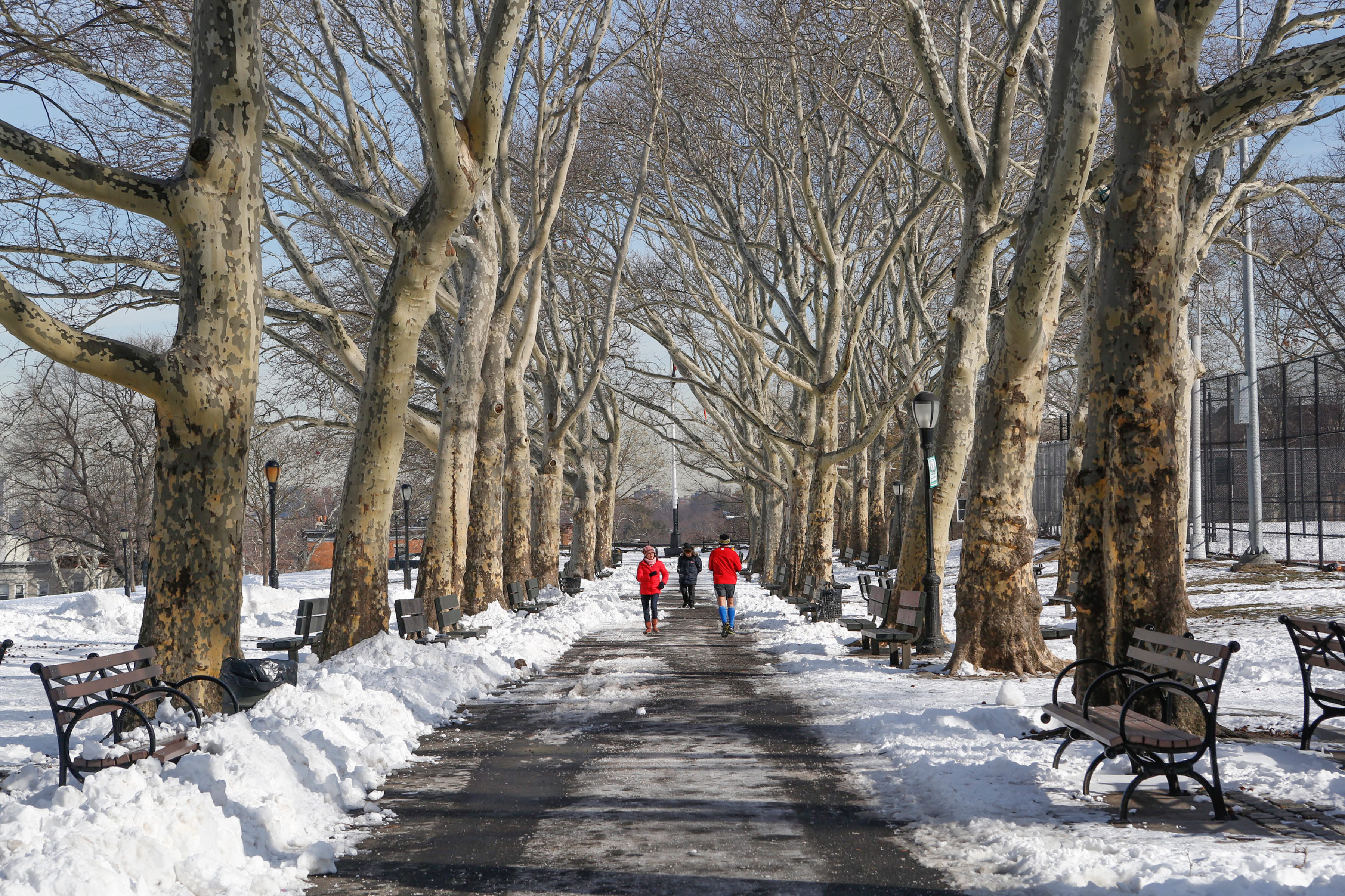 sunset-park-kate-glicksberg-2345