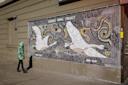 masthead-trumpeter-swan_carlos-pinto_john-sear_mike-fernandez_1_web
