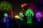 pampas-lightscape-bbg-photo--rikard-osterlund-courtesy-sony-music