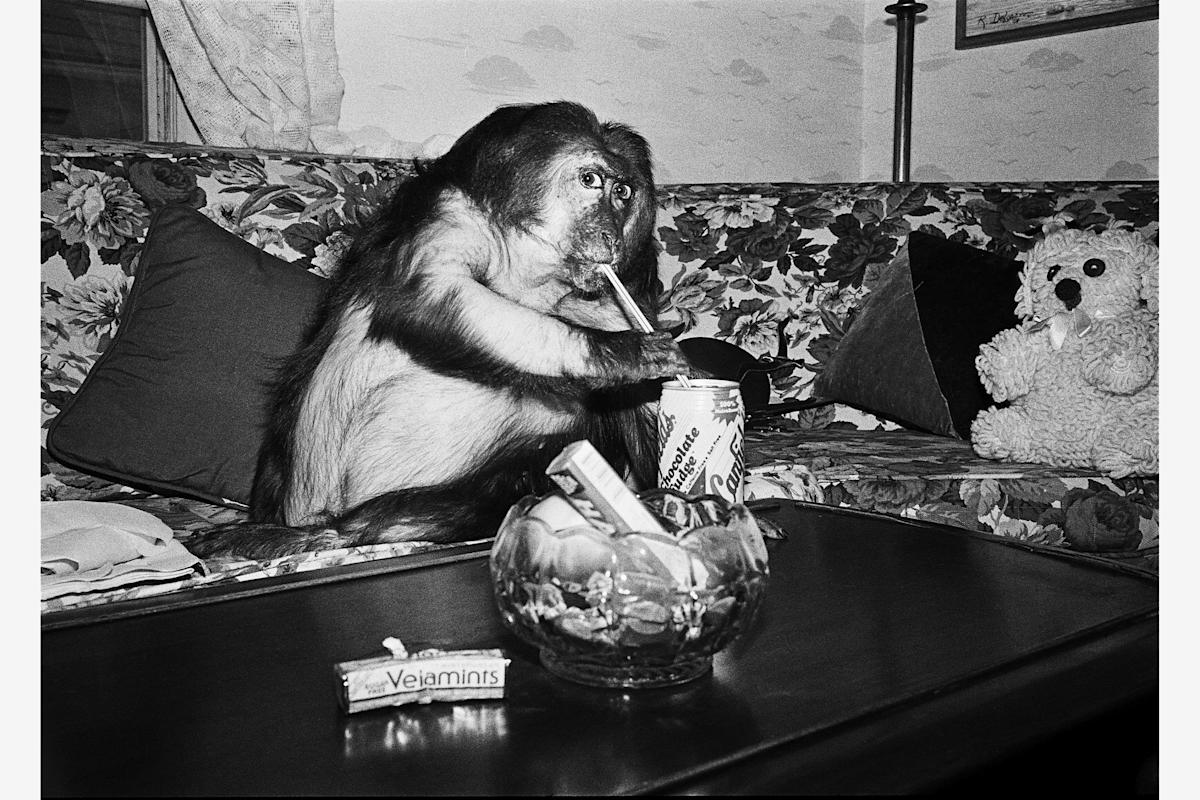 " Minnie" (1989) Photo: Robin Schwartz