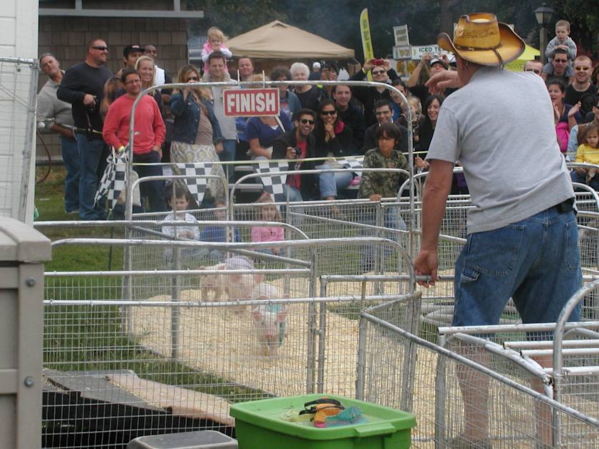 Queens County Fair NYC Tourism