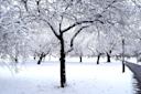 Queens Botanical Garden nyc