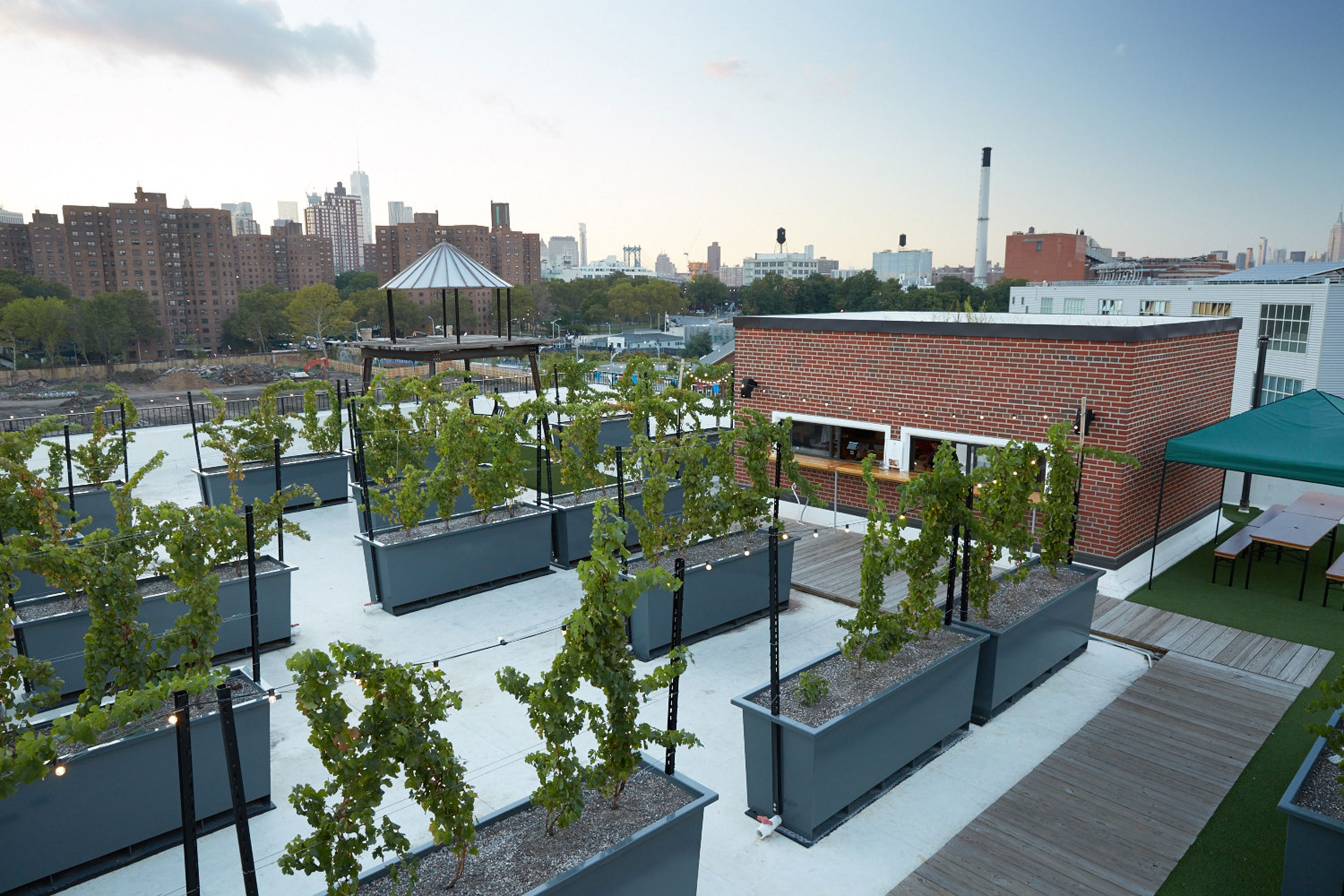 Rooftop Reds: New York City Wine Bar, Brooklyn Navy Yard