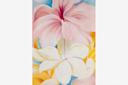 Georgia O'Keeffe Painting, Hibiscus