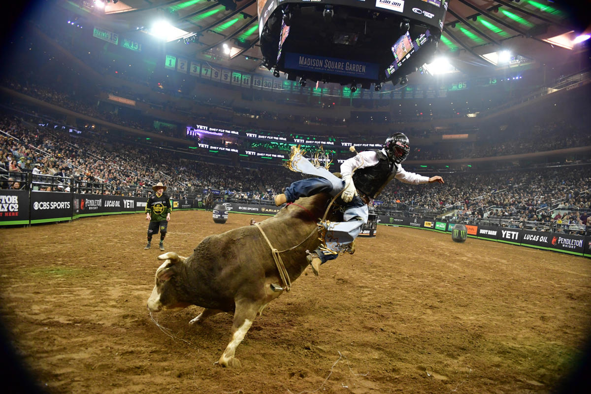 Pro-Bull-Riders-MSG-Manhattan-NYC-Courtesy-Bull-Stock-Media-23-LIVE 101-569.jpg