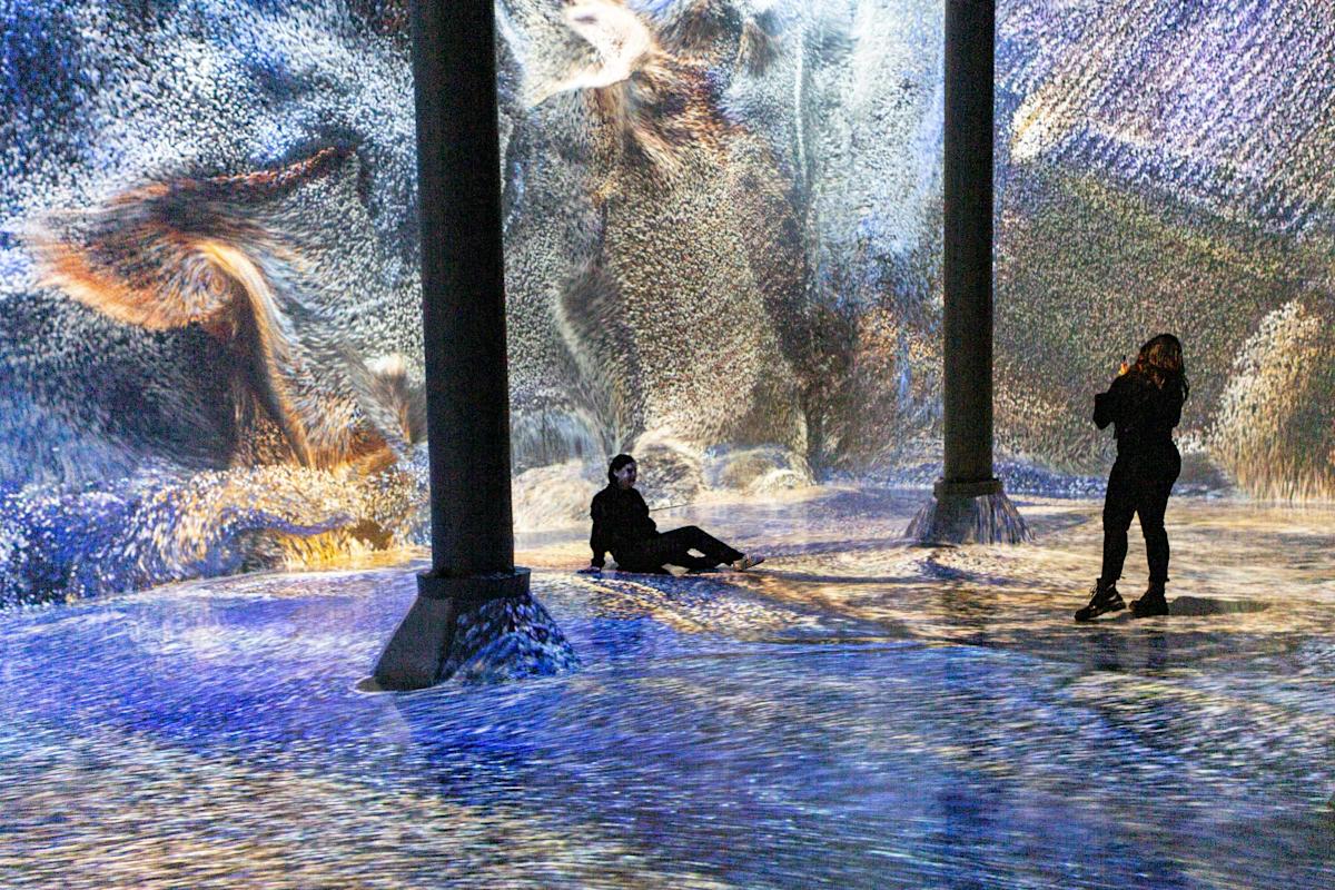 Photo: Brittany Petronella