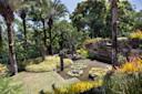 Garden at the Sitio Roberto Burle Marx. Livia Comandini/ Getty Images