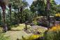 burle-marx-nybg-bronx-nyc-sitio-garden_livia-comandini_getty