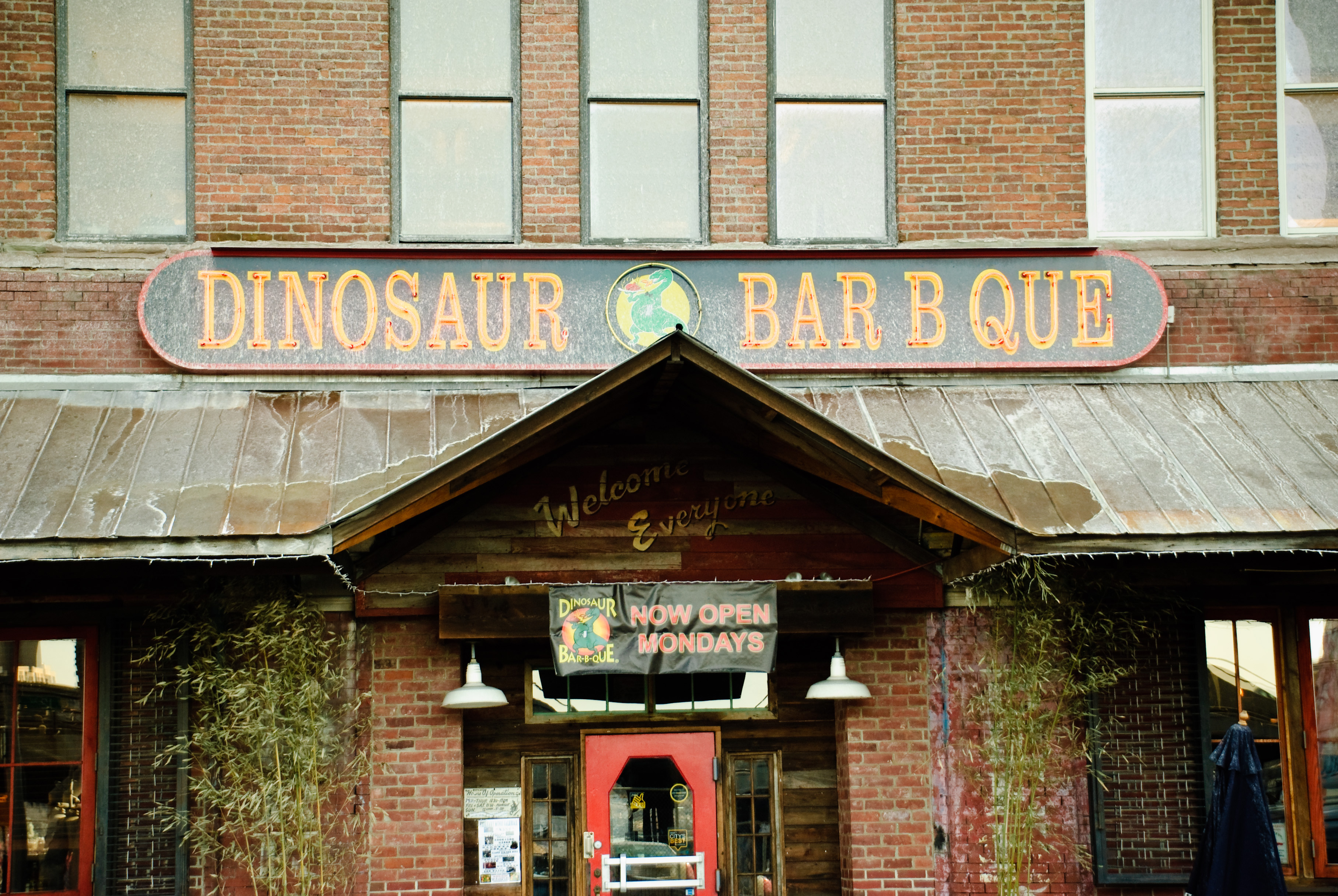 nyc_dinosaur_bbq090305_05