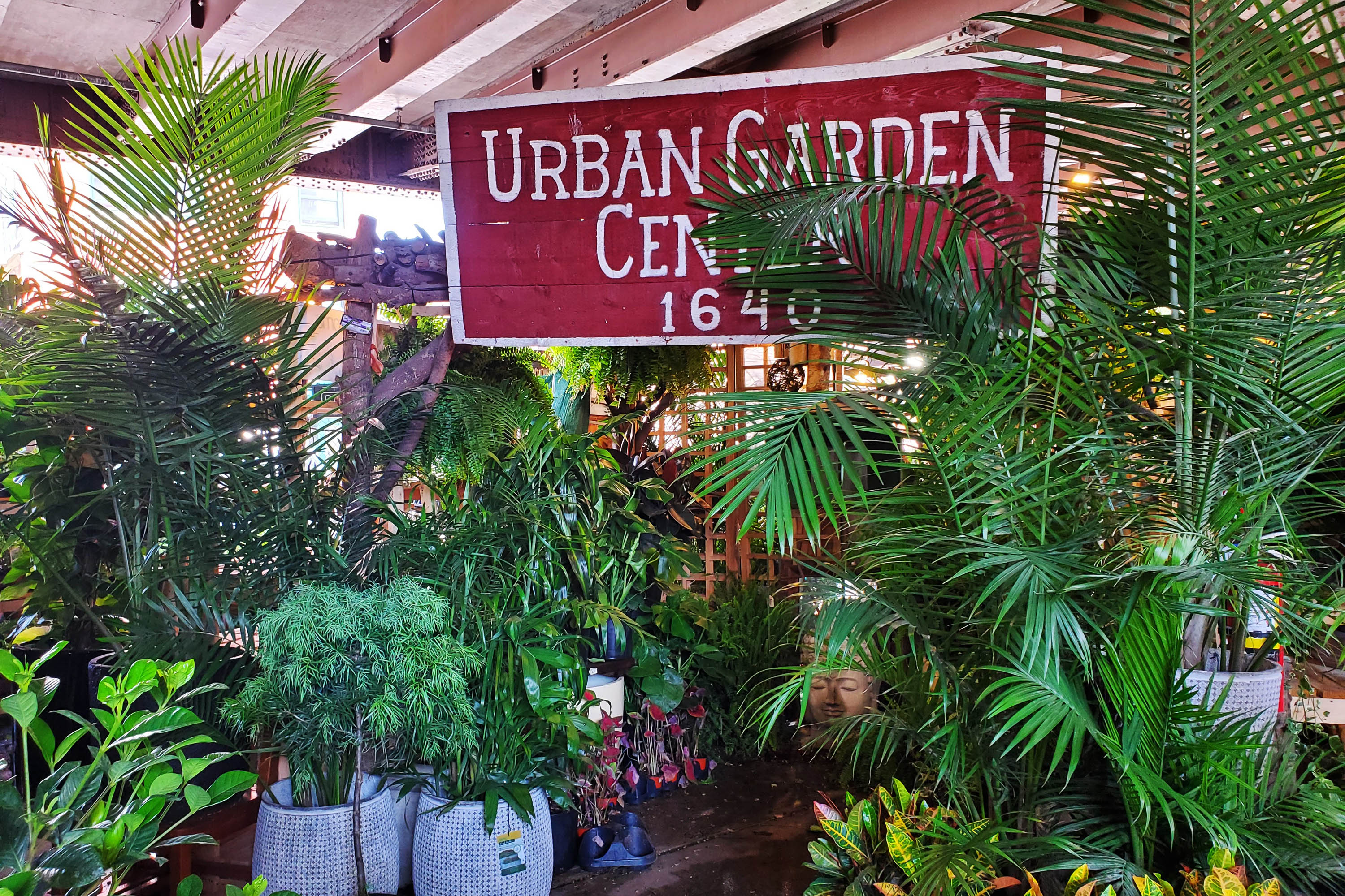 all-in-nyc_urban_garden_center