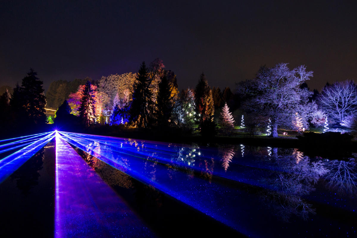 laser-pond-lightscape-bbg-photo-fog-man-courtesy-sony-music