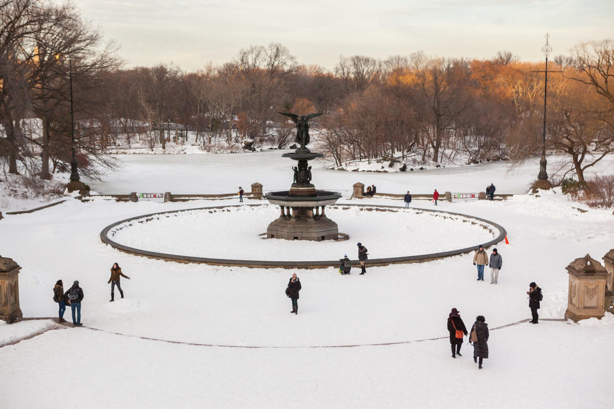 central-park-tagger-yancey-iv-4999