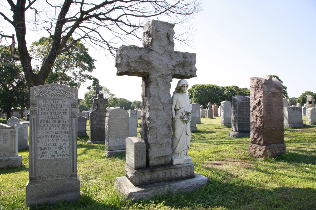 Calvary Cemetery, view