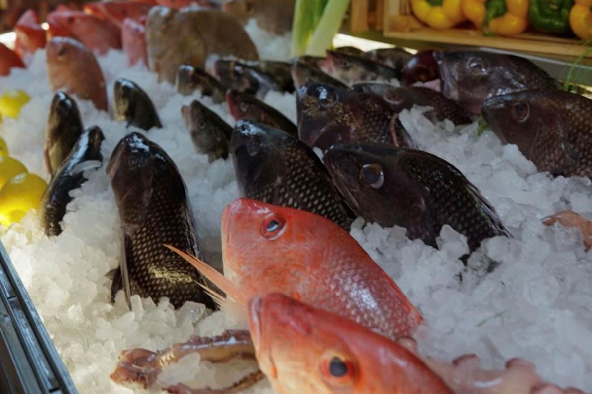 Various whole fish, mostly dark-colored with a few red ones, are displayed on a bed of ice at a market counter, with some vegetables visible in the background.
