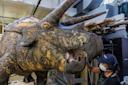 A person wearing a mask works on the open mouth of a large, realistic triceratops model in a workshop filled with tools and materials.