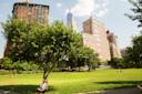 Battery Park, Outdoors, Lower Manhattan, NYC